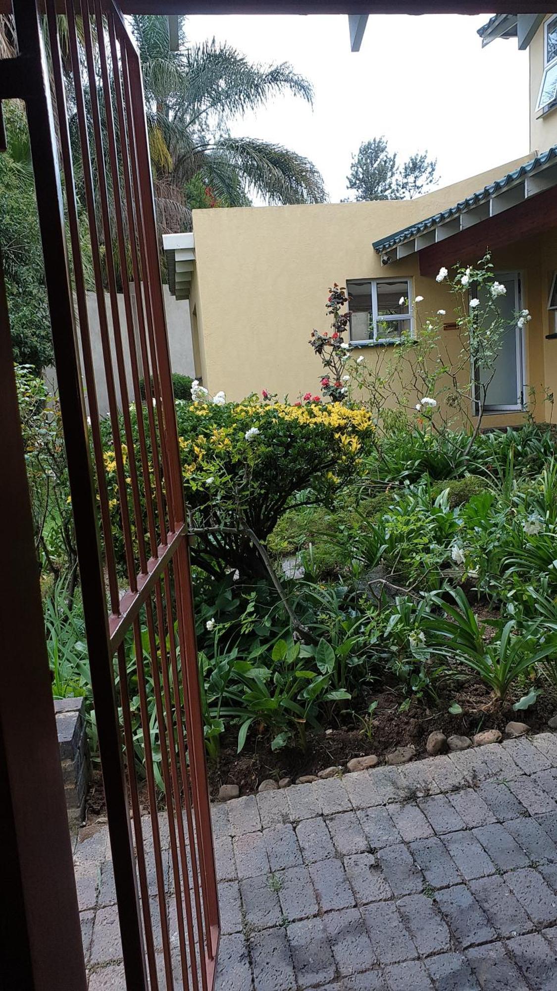 Matina Guest House Johannesburg Cameră foto